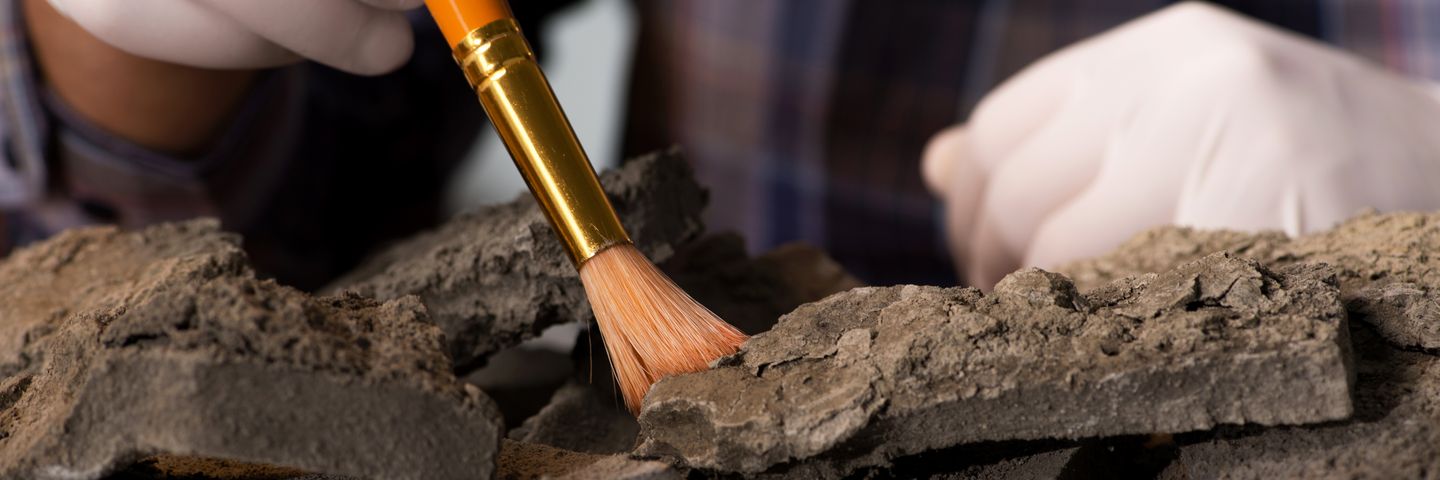 Close-up of an archaeologist's hands wearing white gloves using a brush to carefully clean dirt off a piece of pottery or a fossil. With a background out of focus, the image highlights the artifact's details, illustrating how education in social sciences contributes to preserving our history.
